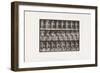 Plate 478. Child, Sprinkling Water over Some Flowers, 1885 (Collotype on Paper)-Eadweard Muybridge-Framed Giclee Print