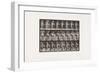 Plate 478. Child, Sprinkling Water over Some Flowers, 1885 (Collotype on Paper)-Eadweard Muybridge-Framed Giclee Print