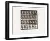 Plate 49. Walking and Turning around Rapidly, 1885 (Collotype on Paper)-Eadweard Muybridge-Framed Giclee Print