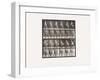 Plate 49. Walking and Turning around Rapidly, 1885 (Collotype on Paper)-Eadweard Muybridge-Framed Giclee Print