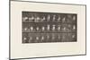 Plate 494. Miscellaneous Phases of the Toilet, 1885 (Collotype on Paper)-Eadweard Muybridge-Mounted Giclee Print