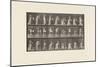 Plate 496. Miscellaneous Phases of the Toilet, 1885 (Collotype on Paper)-Eadweard Muybridge-Mounted Giclee Print