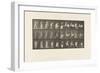 Plate 497. Miscellaneous Phases of the Toilet, 1885 (Collotype on Paper)-Eadweard Muybridge-Framed Giclee Print