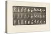 Plate 497. Miscellaneous Phases of the Toilet, 1885 (Collotype on Paper)-Eadweard Muybridge-Stretched Canvas