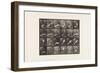 Plate 535. Movement of the Hand; Beating Time, 1885 (Collotype on Paper)-Eadweard Muybridge-Framed Giclee Print