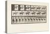 Plate 620. Canter; Saddle; Thoroughbred Bay Mare Annie 6., 1885 (Collotype on Paper)-Eadweard Muybridge-Stretched Canvas