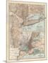 Plate 69. Map of New York State-Encyclopaedia Britannica-Mounted Art Print