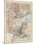 Plate 69. Map of New York State-Encyclopaedia Britannica-Mounted Art Print