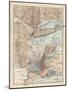 Plate 69. Map of New York State-Encyclopaedia Britannica-Mounted Art Print