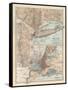 Plate 69. Map of New York State-Encyclopaedia Britannica-Framed Stretched Canvas