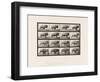 Plate 700. Buffalo; Galloping, 1885 (Collotype on Paper)-Eadweard Muybridge-Framed Giclee Print