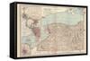 Plate 71. Map of New York State-Encyclopaedia Britannica-Framed Stretched Canvas