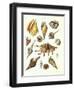 Plate 7-Porter Design-Framed Giclee Print