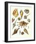 Plate 7-Porter Design-Framed Premium Giclee Print