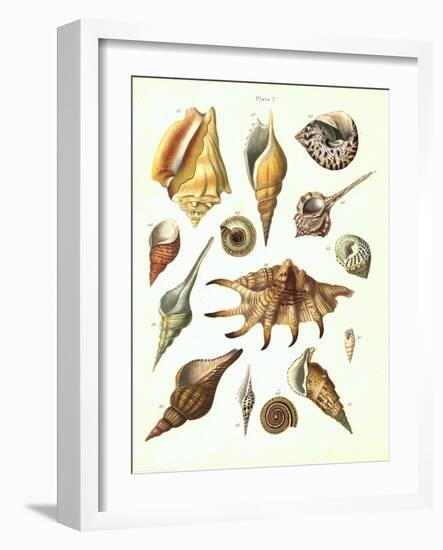 Plate 7-Porter Design-Framed Premium Giclee Print