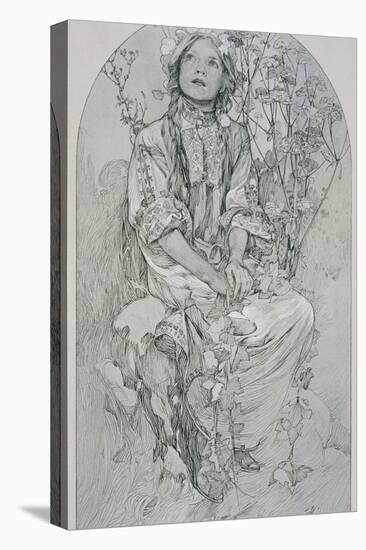 Plate 8 from 'Figures Decoratives', 1902-Alphonse Mucha-Stretched Canvas