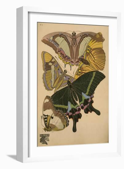 Plate 8 - Papillons-Vintage Apple Collection-Framed Giclee Print