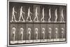 Plate 8. Walking, 1872-85 (Collotype on Paper)-Eadweard Muybridge-Mounted Giclee Print