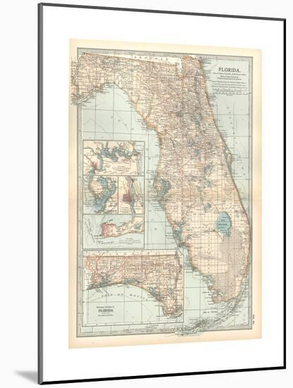 Plate 81. Map of Florida. United States. Inset Maps of Jacksonville-Encyclopaedia Britannica-Mounted Giclee Print