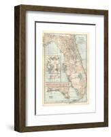 Plate 81. Map of Florida. United States. Inset Maps of Jacksonville-Encyclopaedia Britannica-Framed Giclee Print