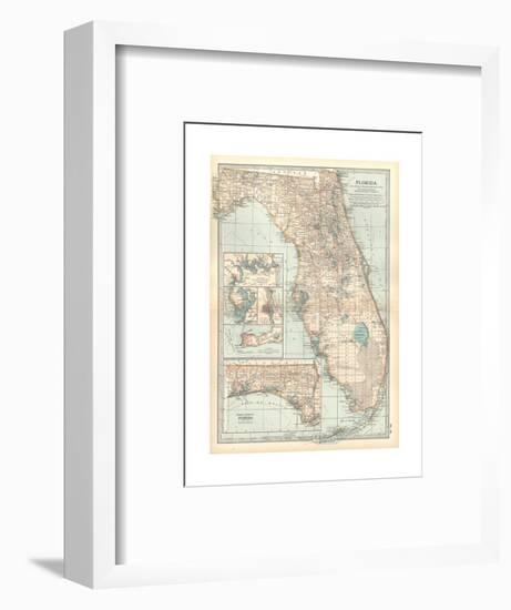 Plate 81. Map of Florida. United States. Inset Maps of Jacksonville-Encyclopaedia Britannica-Framed Giclee Print