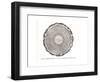 Plate commemorating WG Graces hundreth century, 1895 (1912)-null-Framed Giclee Print