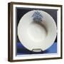 Plate Decorated with Coat of Arms, Ceramic, Castelli Manufacture, Abruzzo, Italy-null-Framed Giclee Print