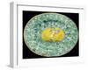 Plate Decorated with Leaves and Cupid in Medallion-null-Framed Giclee Print