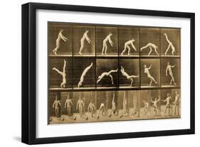 Plate from 'Animal Locomotion' Series, C.1887-Eadweard Muybridge-Framed Giclee Print