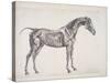 Plate from "The Anatomy of the Horse", C.1766-George Stubbs-Stretched Canvas