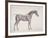 Plate from "The Anatomy of the Horse", C.1766-George Stubbs-Framed Giclee Print