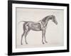 Plate from "The Anatomy of the Horse", C.1766-George Stubbs-Framed Giclee Print