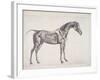 Plate from "The Anatomy of the Horse", C.1766-George Stubbs-Framed Giclee Print