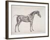 Plate from "The Anatomy of the Horse", C.1766-George Stubbs-Framed Giclee Print