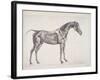 Plate from "The Anatomy of the Horse", C.1766-George Stubbs-Framed Giclee Print