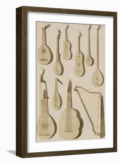 Plate III: Ancient and Modern Stringed and Plucked Instruments-Robert Benard-Framed Giclee Print