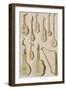 Plate III: Ancient and Modern Stringed and Plucked Instruments-Robert Benard-Framed Giclee Print