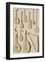 Plate III: Ancient and Modern Stringed and Plucked Instruments-Robert Benard-Framed Giclee Print