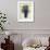 Plate LII-George Brookshaw-Framed Giclee Print displayed on a wall