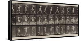 Plate Number 175. Crossing brook on step-stones with fishing-pole and can, 1887-Eadweard Muybridge-Framed Stretched Canvas