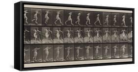 Plate Number 175. Crossing brook on step-stones with fishing-pole and can, 1887-Eadweard Muybridge-Framed Stretched Canvas