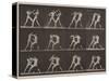 Plate Number 340. Boxing; open hand , 1887-Eadweard Muybridge-Stretched Canvas