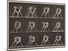 Plate Number 340. Boxing; open hand , 1887-Eadweard Muybridge-Mounted Photographic Print