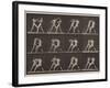 Plate Number 340. Boxing; open hand , 1887-Eadweard Muybridge-Framed Photographic Print