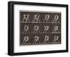 Plate Number 340. Boxing; open hand , 1887-Eadweard Muybridge-Framed Photographic Print