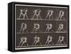 Plate Number 340. Boxing; open hand , 1887-Eadweard Muybridge-Framed Stretched Canvas