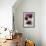 Plate of Berries, Cherries in Stemmed Glass-Eising Studio - Food Photo and Video-Framed Photographic Print displayed on a wall