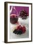 Plate of Berries, Cherries in Stemmed Glass-Eising Studio - Food Photo and Video-Framed Photographic Print