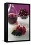 Plate of Berries, Cherries in Stemmed Glass-Eising Studio - Food Photo and Video-Framed Stretched Canvas