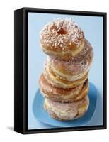 Plate of donuts-Lew Robertson-Framed Stretched Canvas
